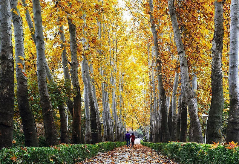 پارک جمشیدیه